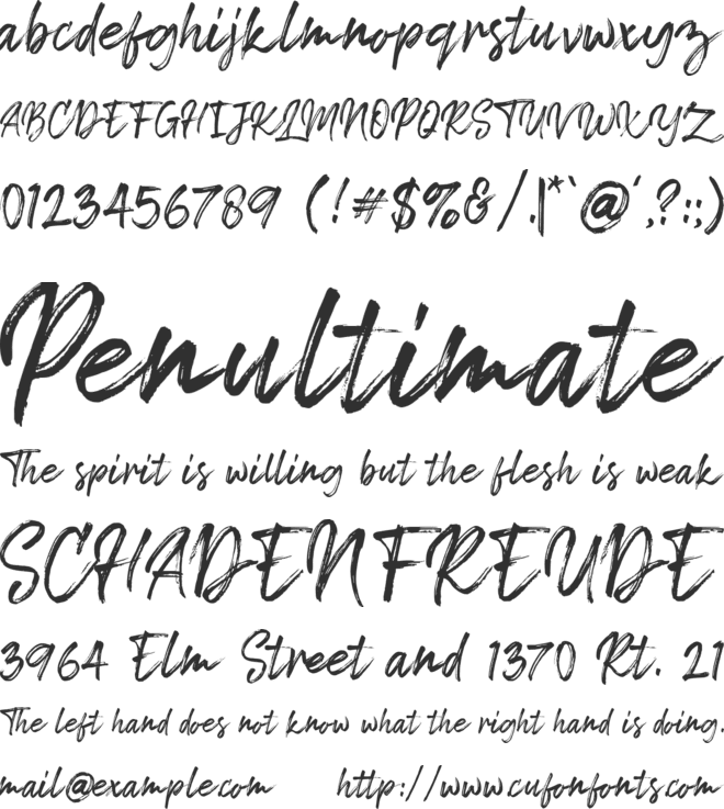Tropical Summer Brush font preview