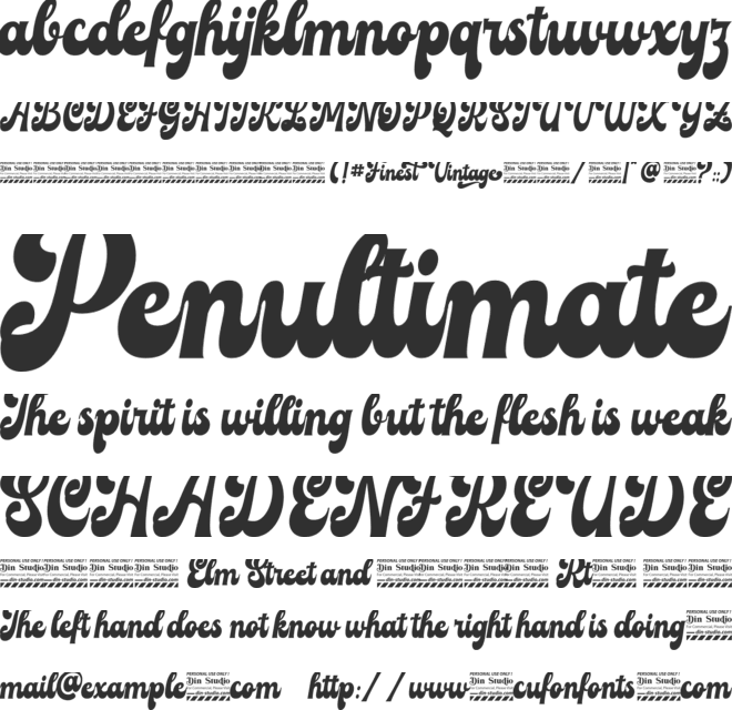 Finest Vintage font preview