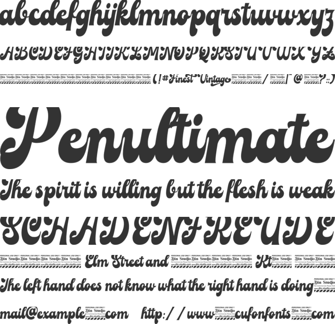 Finest Vintage font preview