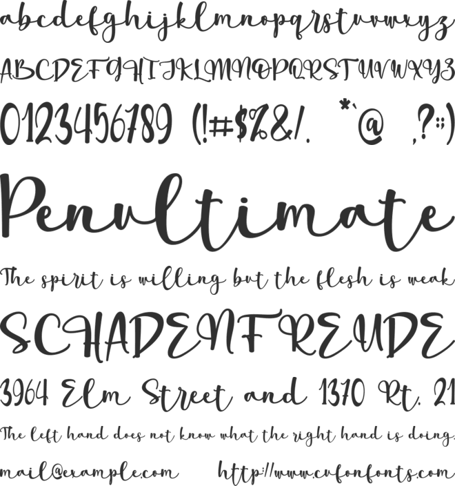 summer flower- personal use font preview