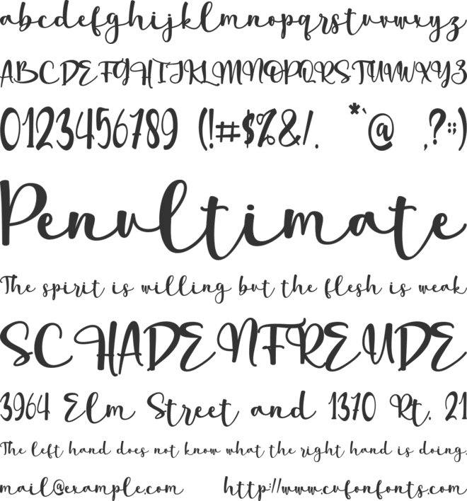 summer flower- personal use font preview
