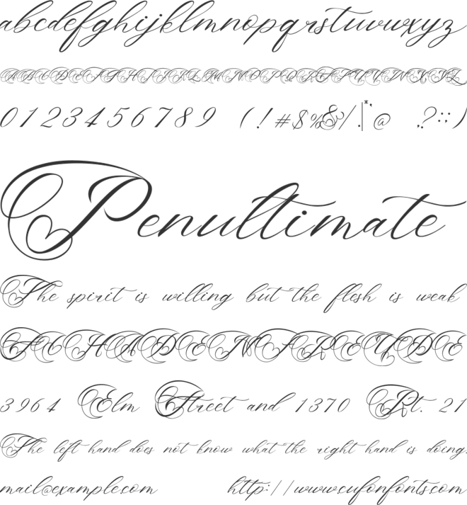 The Bellinda font preview