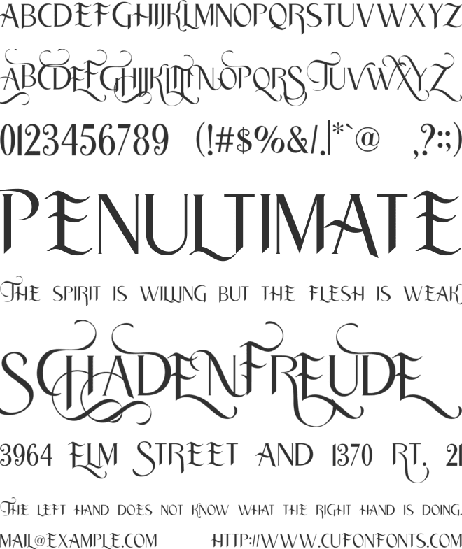 Traditian font preview