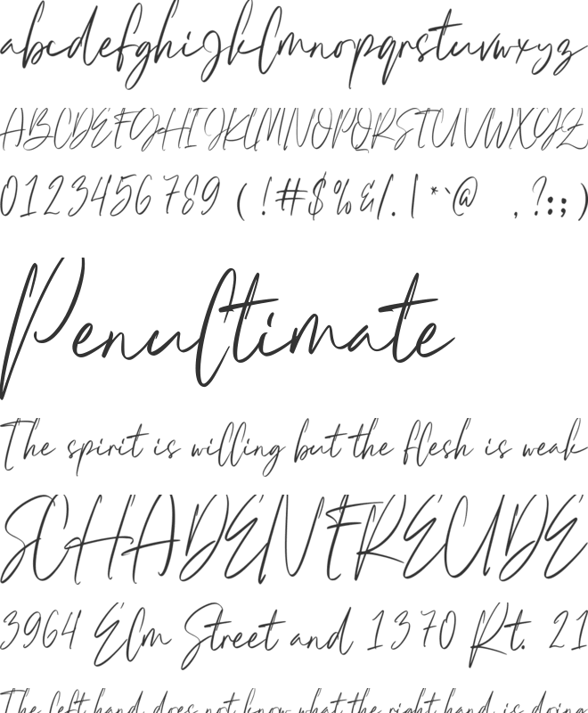 Halima Sofira font preview