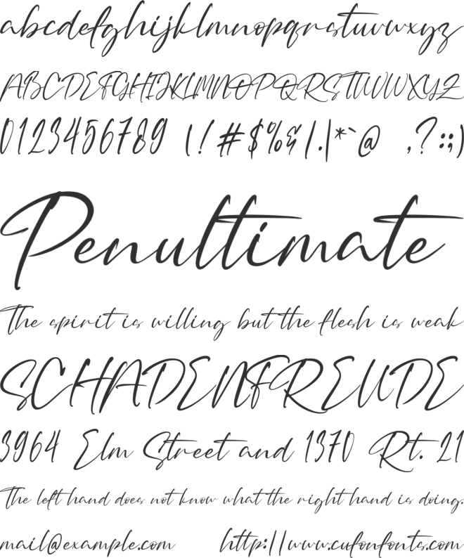Rotenfold font preview