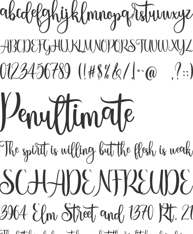 Santiago Elmoro font preview