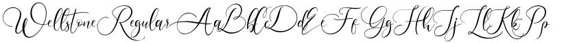 Wellstone Regular font