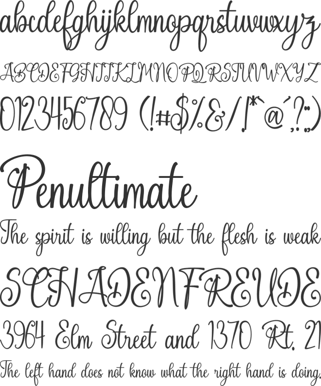 littledonjuan font preview