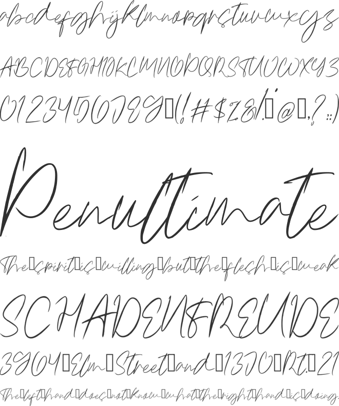 Radsol_signature font preview