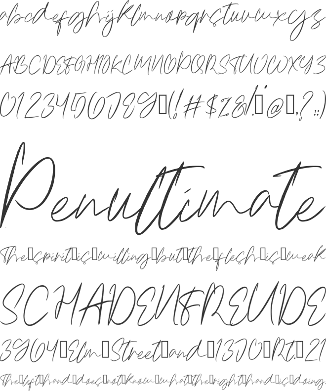 Radsol_signature font preview