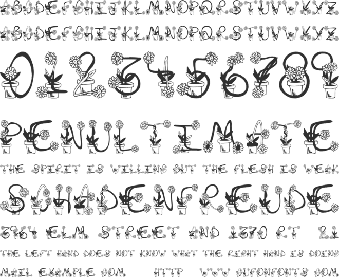 Sunflowers font preview