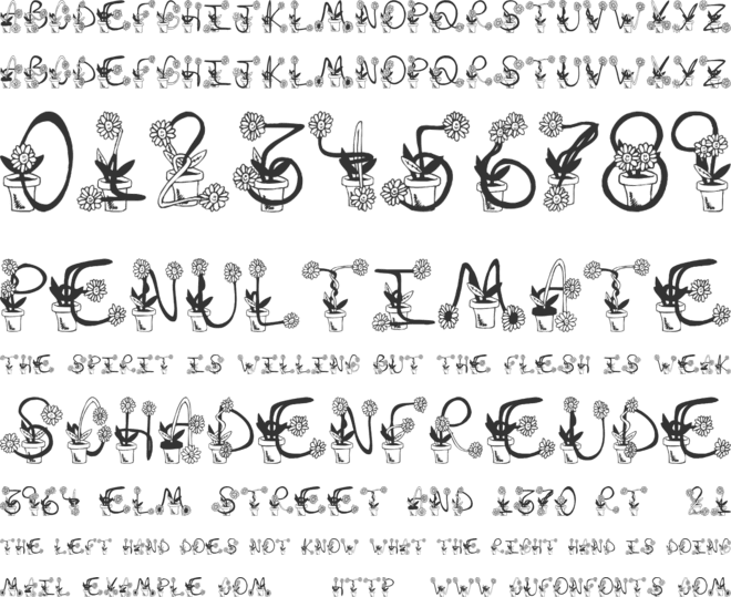 Sunflowers font preview