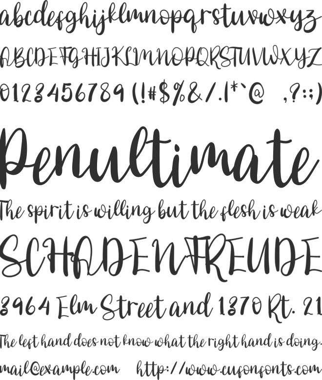 Daily Danissa font preview