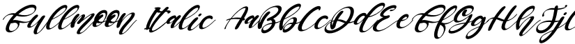 Fullmoon Italic font