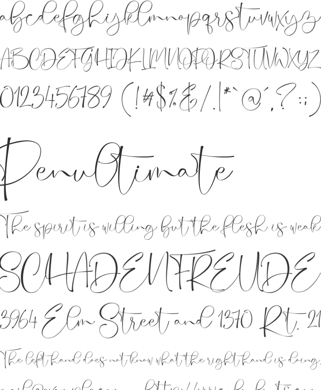 Quality times font preview