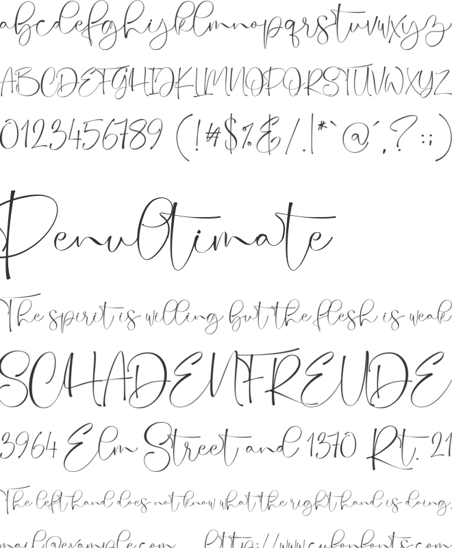 Quality times font preview