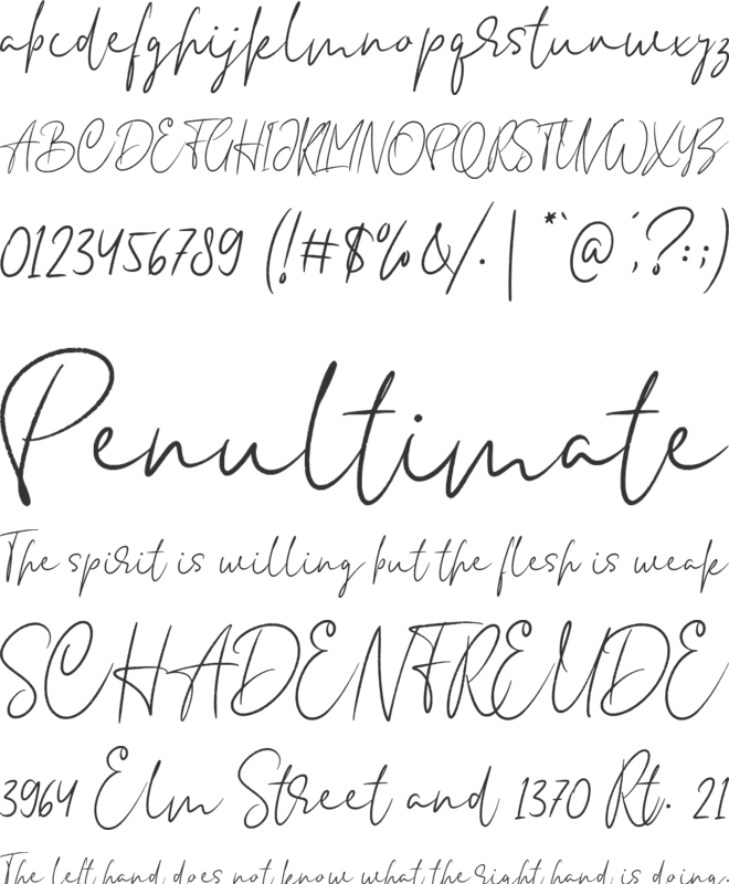 Anderson Signature font preview