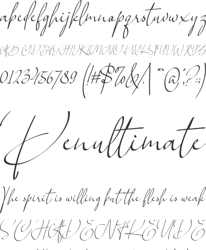 Over Thingking font preview