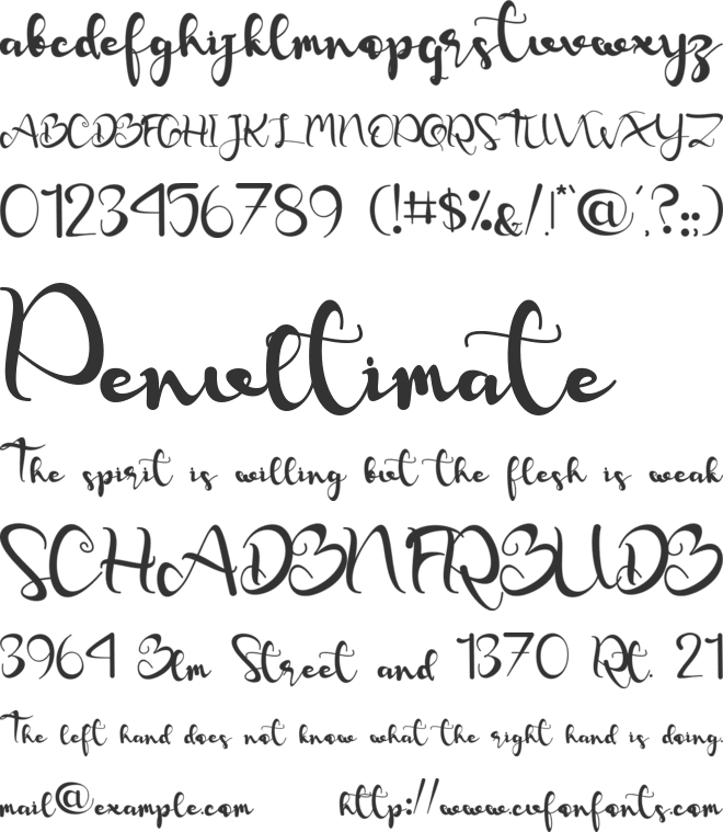 Valentine Rose font preview