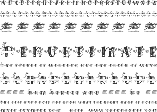 Hilens Flower Monogram font preview
