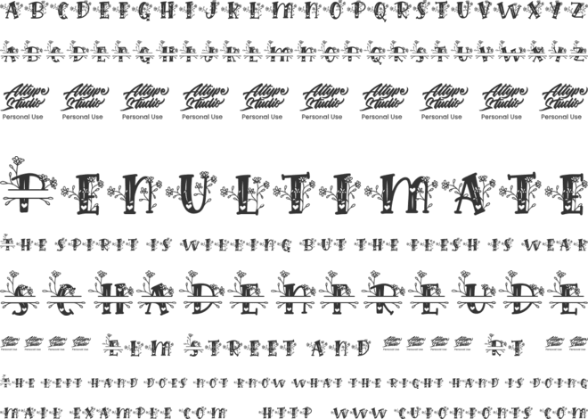 Hilens Flower Monogram font preview