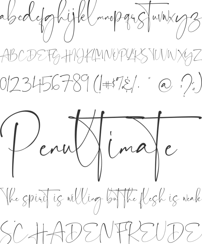 West Angel font preview