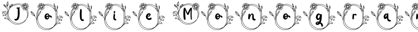 Jolie Monogram Regular font