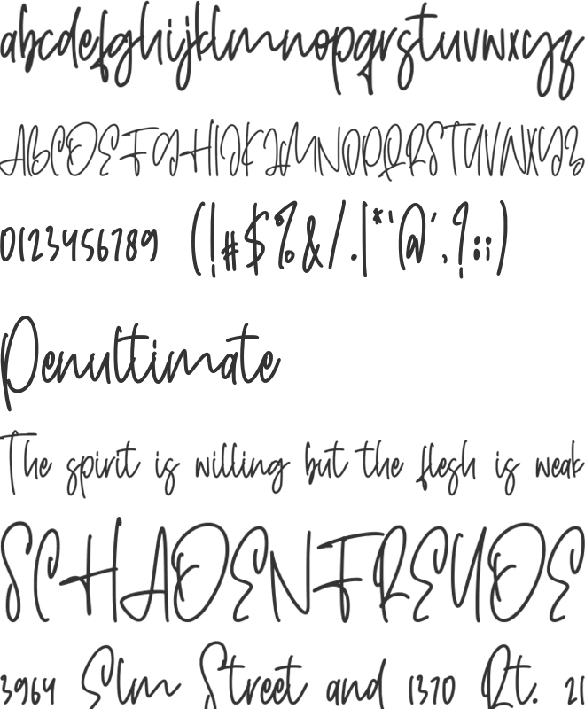 Creditor font preview