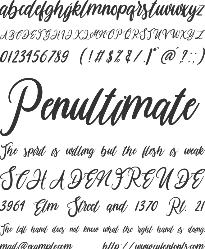 Havana font preview