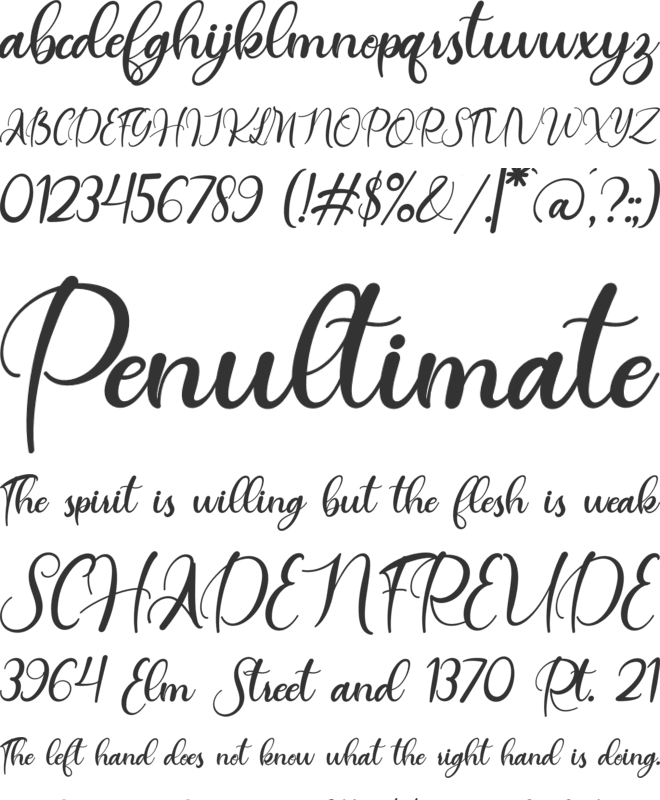 baritta font preview