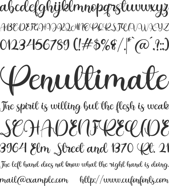 Summer Tropical font preview