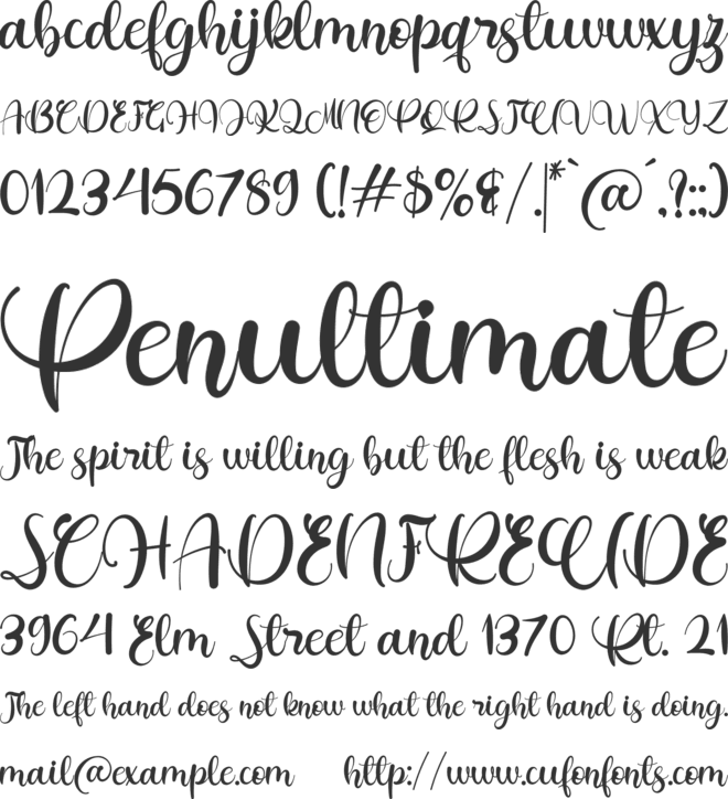 Summer Tropical font preview