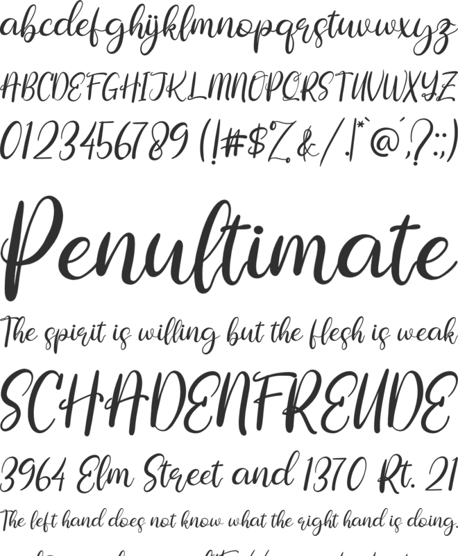 Rallystta font preview