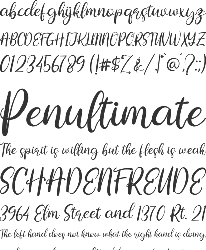 Rallystta font preview