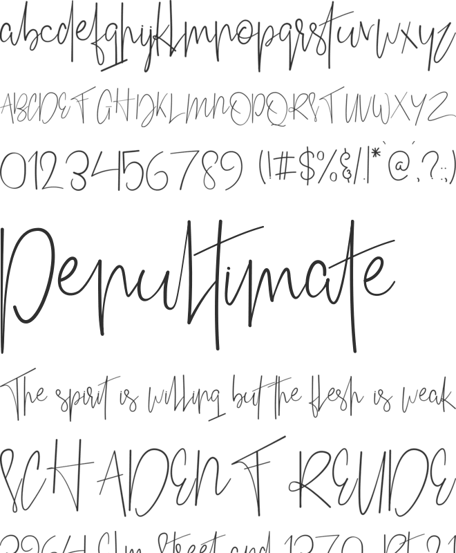 Friday font preview