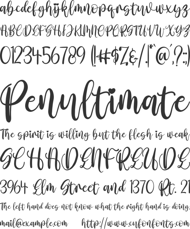 amalia nurse font preview