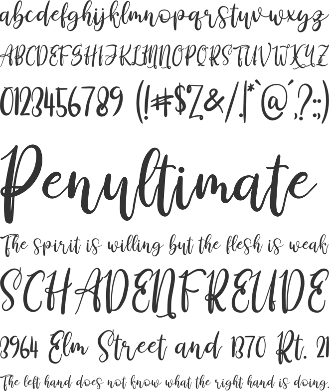 Derlinata Space font preview