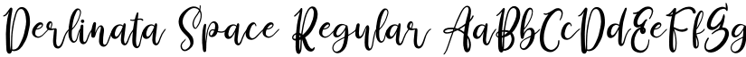 Derlinata Space Regular font