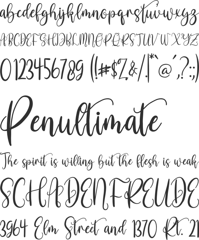 sarah betty font preview