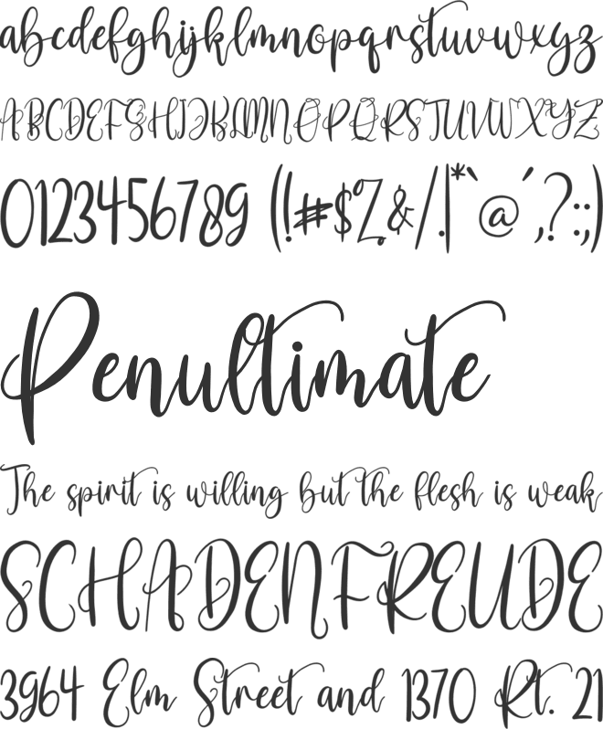 sarah betty font preview