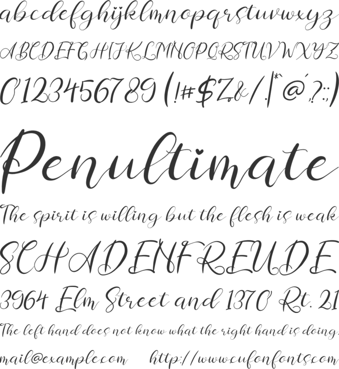 Chamelia Blinkar font preview