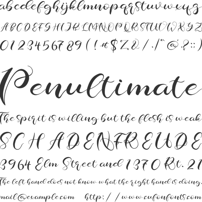 Charlotte Pharly font preview