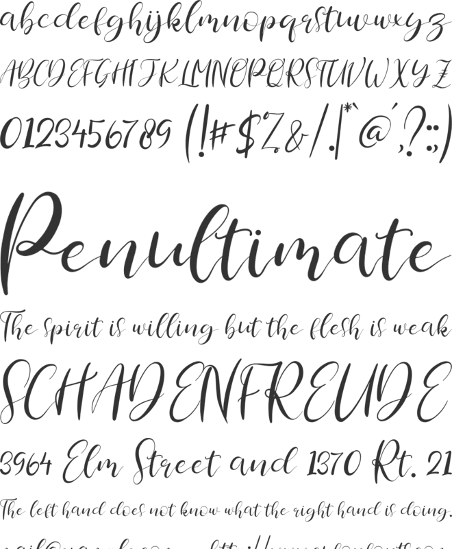 herlitta font preview