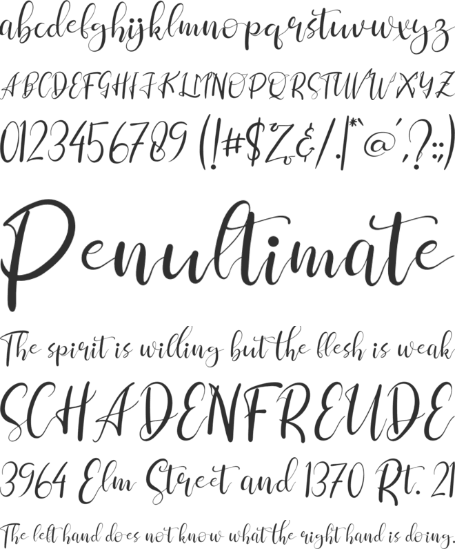 Clara Sherly font preview