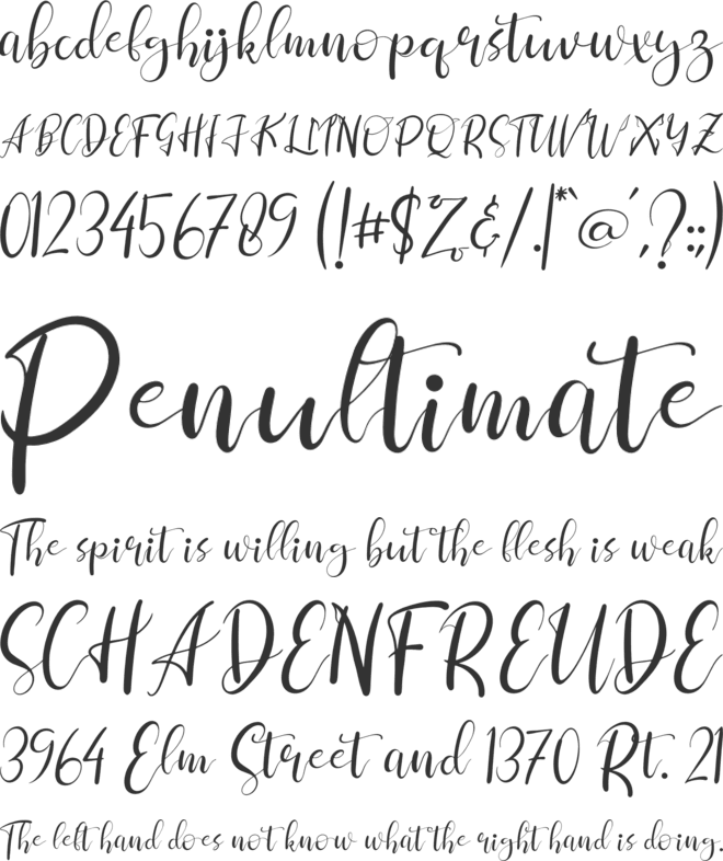 Clara Sherly font preview