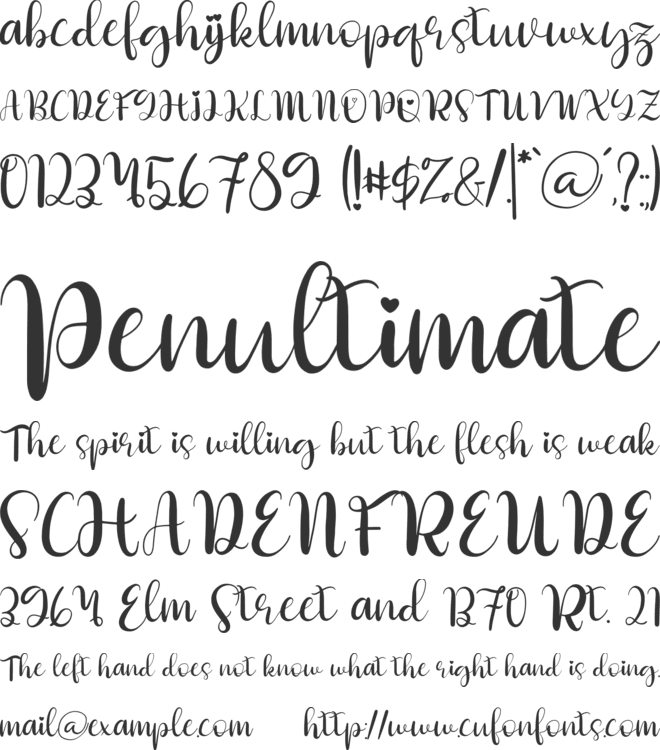 Butterfly Holiday font preview