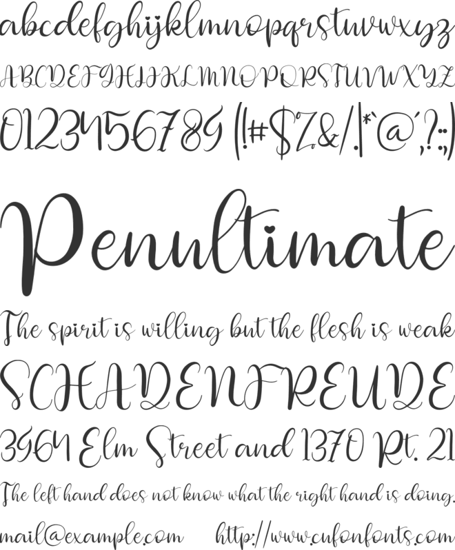 Dettina Laura font preview