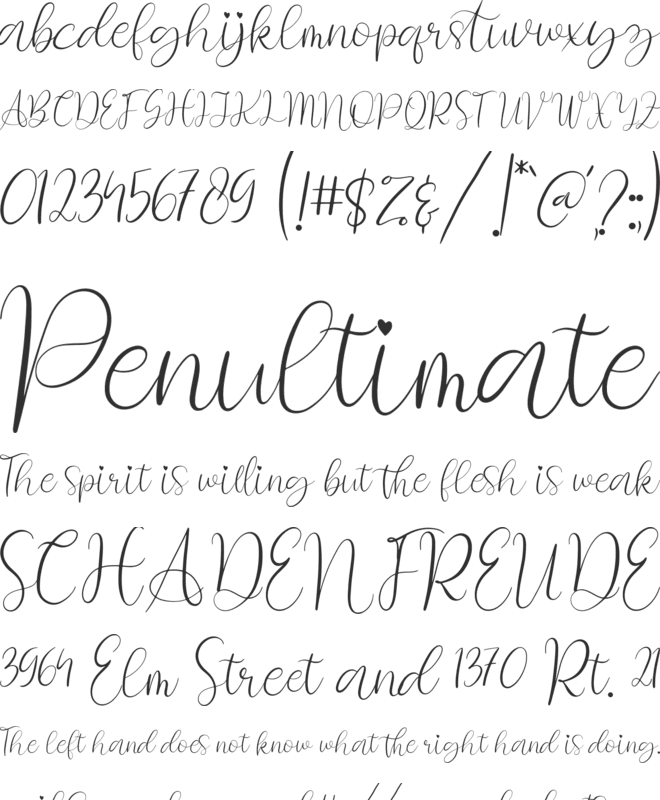 Rossie Bella font preview
