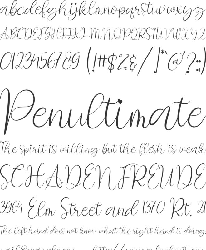 Rossie Bella font preview