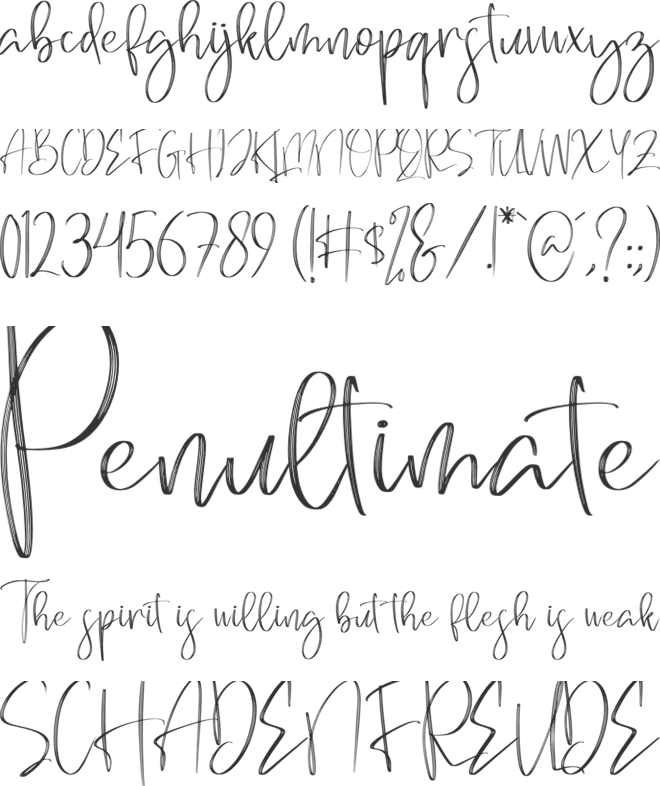 Brilliant Signature font preview